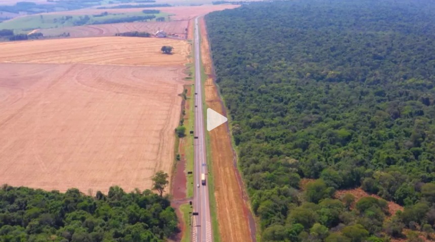 Riquezas do Oeste do Paraná, referência no agronegócio e no desenvolvimento humano